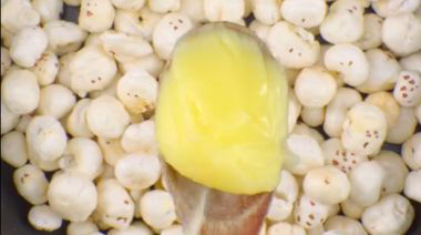 No Chenna Mango Makhana Rasmalai 1